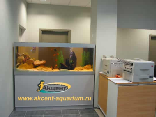 Акцент-аквариум,аквариум 400 литров в офисе